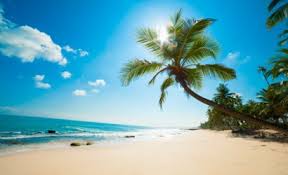The staff and managers are incredibly friendly and accommodating. Martinique Urlaub 2022 Buchen Top Fruhbucher Angebote Fur 2022