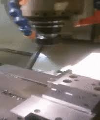 Spiffy Gif Gallery 20 Great Gifs Bones Funny Gif Crazy People