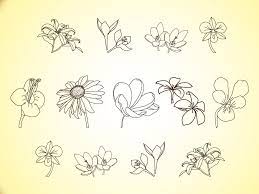 Vector Flower Line Illustrations Flower Line Drawings Simple Line Drawings Flower Drawing