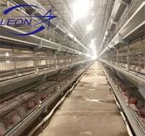 Proveedores, fabricantes de jaulas de capas de huevos de ...