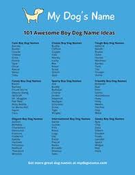 Aw There Such Cute Names Boy Dog Names Cute Names For Dogs Boy Puppy Names