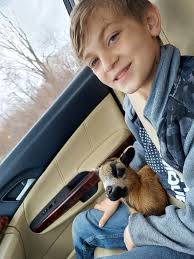 Briarwood farm sanctuary rescues two sheep