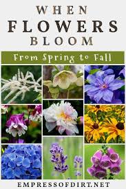 Perennial flowers for shade zone 7. Perennial Flower Bloom Times From Spring To Fall