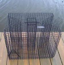 Fish Traps - Pinfish Traps, Perch/Bream Fish Trap
