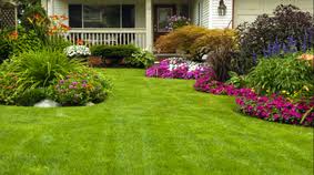Po box 481029, charlotte, nc 28269. Markham Landscaping Services Landscaping Arborist Landscaper Services In Markham On