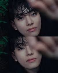 Kim Taehyung for Snow Peak Appeal