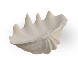 We did not find results for: Plaster Clam Shell Bowl Mecox Gardens