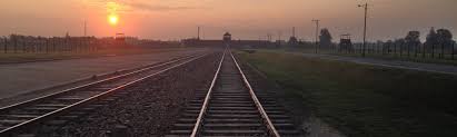 Mai war ein tag der befreiung. Pressemappe Zdf Sendungen Zum 75 Jahrestag Der Befreiung Von Auschwitz Zdf Presseportal