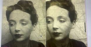 Savage Beauty: the biography of Edna St. Vincent Millay