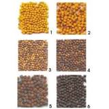 Six seed colour categories: 1 = yellow; 2 = dark yellow; 3 ...