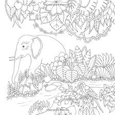 Magical jungle written by johanna basford, published by penguin which was released on 06 august 2016. Pin On Adult Coloring Pages Animals