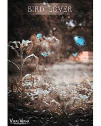 100 Picsart Background Hd Download Picsart Blur Background Download Zip Picsart Background Iphone Background Images Picsart Background Love Background Images