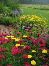 Butterfly And Hummingbird Garden Plans Butterfly1 Jpg Milkweed Asters Beebalm Kittat Hummingbird Garden Flowers Hummingbird Garden Hummingbird Garden Plan