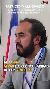 🙋‍♂️🇪🇨 ¡AME logra la Vicepresidencia de Ecuador de la Federación  Latinoamericana de Ciudades Turísticas!, #AMEenChile