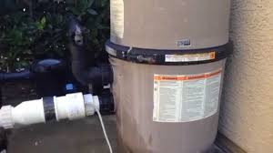 We did not find results for: Hayward Pool Filter Bulkhead Union Leak Youtube