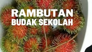 Seperti normalnya anak seusiaku yang sedang menginjak masa puber, aku sering banget nonton film bokep. Buah Rambutan Jenis Budak Sekolah Youtube