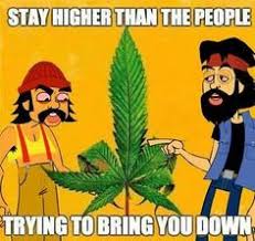 It was something you lived and died for. Cheech And Chong Marijuana Quotes Quotesgram