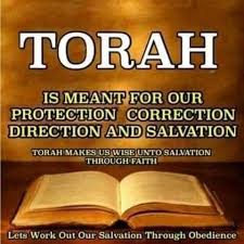 Torah Is The First 5 Books Of The Bible Torah Quotes Torah Bible Truth