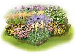 Blooms spring and summer, depending light: Pin On A Shrubbery A Shrubbery
