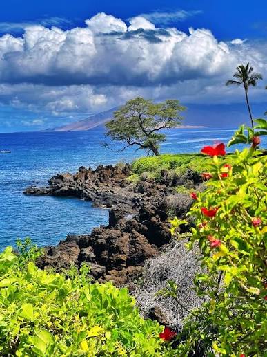 Throwback to Maui, Hawaii, USA ?? Looking forward to heading back later this year! @fsmaui