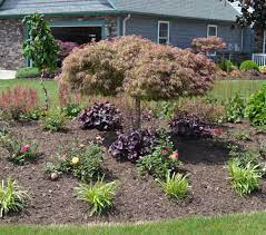 A dazzling autumn show and a compact, resilient, and adaptable silhouette. 23 Landscaping Ideas With Photos Mike S Backyard Nursery