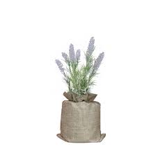 I have a small selection of blue striped lavender pillows available, please let us. Txon Stores Your Choice For Home Products Potted Lavender Flowers Small Artificial Purple White Plant Cute Flower For Home Party Wedding Decor 27 X 7 5 Cm