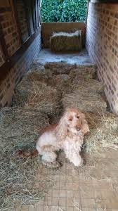 La construction d'une demeure pas comme les autres vient de se terminer en suisse. Qutite De Foin Volume Et Poids D Une Petite Botte