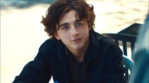 Timothee chalamet (born december 27, 1995) is a renowned american actor known for his roles in we have included the information on timothee chalamet age, height, weight, bio, net worth. Timothee Chalamet Personal Life Career And More