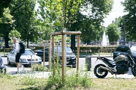 Mr peabody and sherman penny rule 34 We need you on the