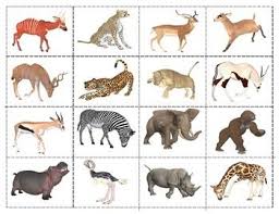 African Animals Match Up Cards African Animals Matching Cards African Theme