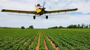 In addition, a person should store products containing borax away from manufacturers do not need to list borax as an ingredient on the label of their products unless it is present in a pesticide. What Is Borax With Pictures