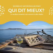 Huitres Et Aoc Picpoul De Pinet L Accord Parfait Photo Fabien Laine