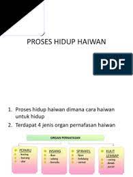 nota sains bunyi (kssr semakan) tahun 4. Sains Tahun 5 Proses Hidup Haiwan