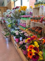 Maybe you would like to learn more about one of these? An Ode To Trader Joe S