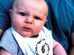 Bay Village Education Foundation awards $10,826 in classroom grants  Reforesting the Forest City: Learn about Cleveland D