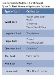 But i want to know the technical difference. How To Choose The Right Hydroponic Production System For Growing Basil Greenhouse Grower