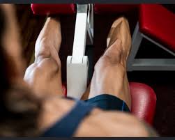 치료제 없는 근감소증 예방하기 위한 단 하나의 실천은 - 루리웹