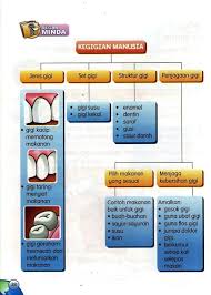 Himpunan latihan sains tahun 3. Nota Dan Latihan Sains Tahun D Teacher Collection Group Facebook