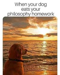 Image May Contain Ocean Dog Sky Outdoor Text Water And Nature Funny Dog Memes Funny Animal Memes Animal Memes