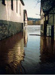 Same day and free shipping options. Hochwasser