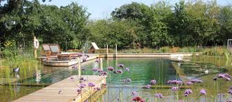 Schwimmteich Selber Bauen 13 Marchenhafte Gestaltungsideen Garten Pooldesign Zenideen Schwimmteich Schwimmteich Selber Bauen Naturschwimmbecken