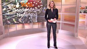 Alle drie de hosting providers hebben servers in nederland, dus dat is goed nieuws. Welmoed Sijtsma Fans Welmoed Sijtsma Presenteert Wnl Goedemorgen Nederland Op Maandag 5 Oktober 2020 Te Gast Zijn Amerikadeskundige Willem Post Minister Van Landbouw Natuur En Voedselkwaliteit Carola Schouten En Officier Van
