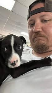 SHANE HAS BEEN FOUND Good morning ! I am searching for my son Shane Powers.  He is in crisis and needs medical attention. He was last seen in the  Parkville area. Please