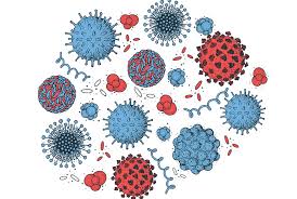 Image result for Virus