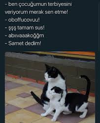 Vay Adli Kullanicinin Ise Yarar Panosundaki Pin 2020 Komik Capsler Komik Seyler Mizah