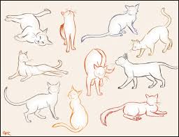 Cat Cat Tail Drawing Reference Welcome to the sketchdaily reference doohickey. cat cat tail drawing reference