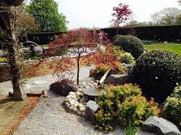 Plants For Japanese Gardens The Japanese Garden Centre