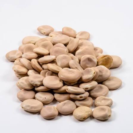 Lupini