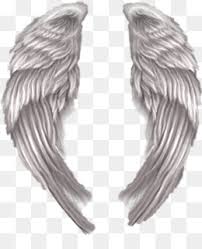 Search and find more on vippng. Angel Cartoon