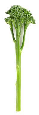 What Is Broccolini With Pictures